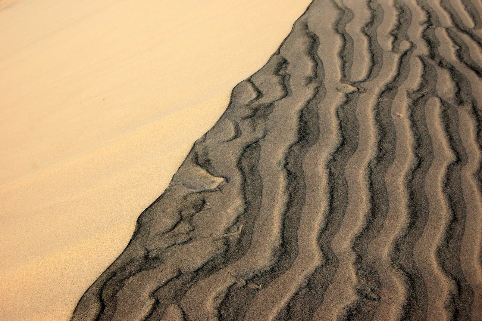 Wind-carved lines crossing a sand dune.