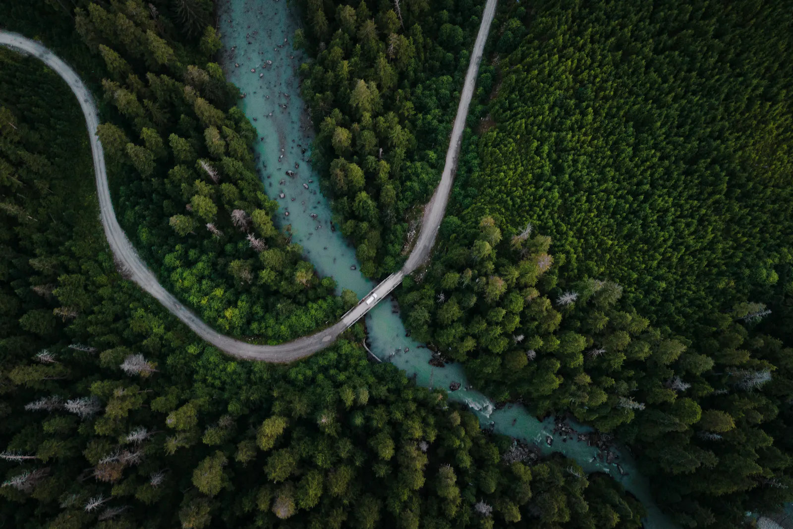 A bridge crossing a river in dense forest.