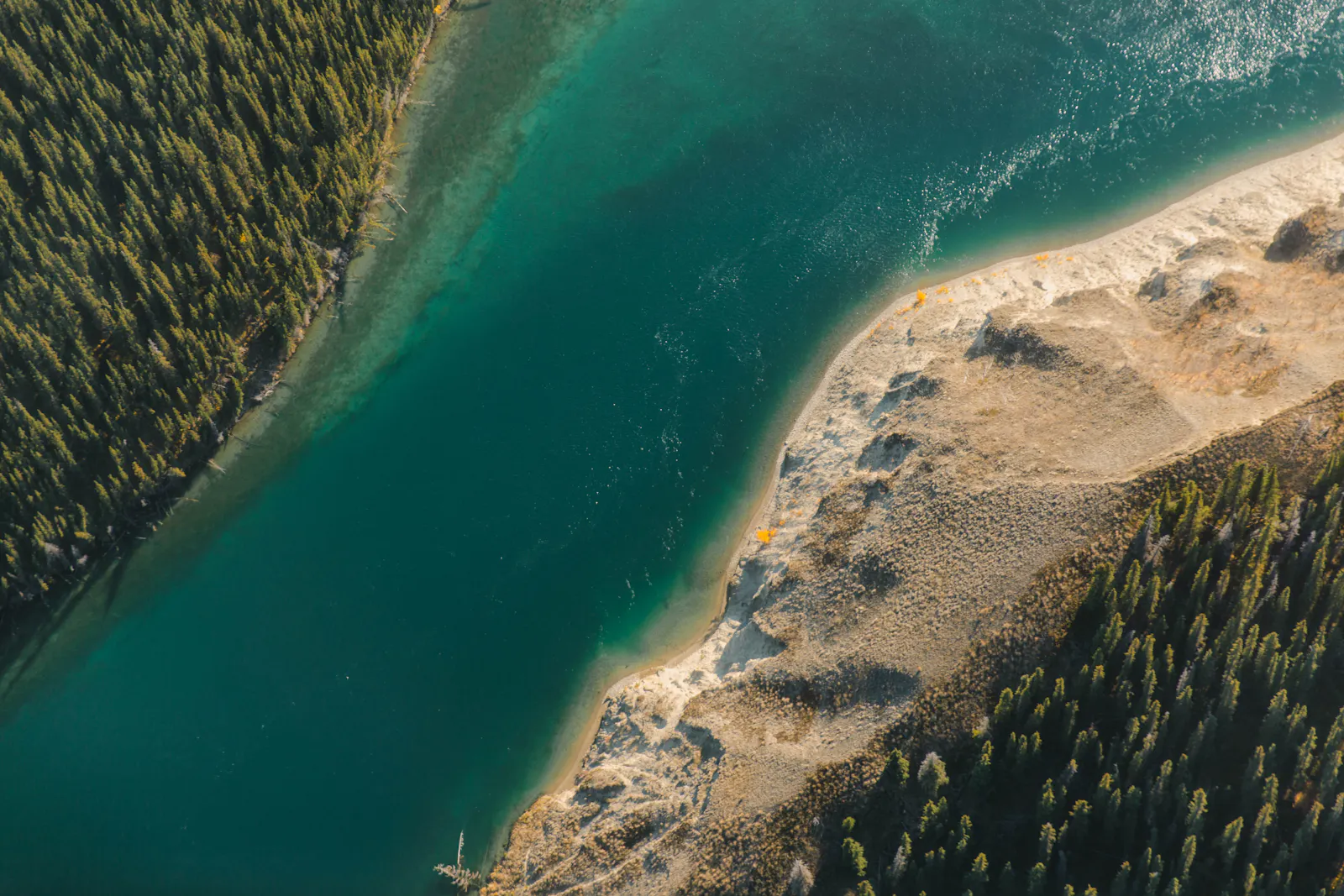 Clear green water meeting a gravel bank and trees.