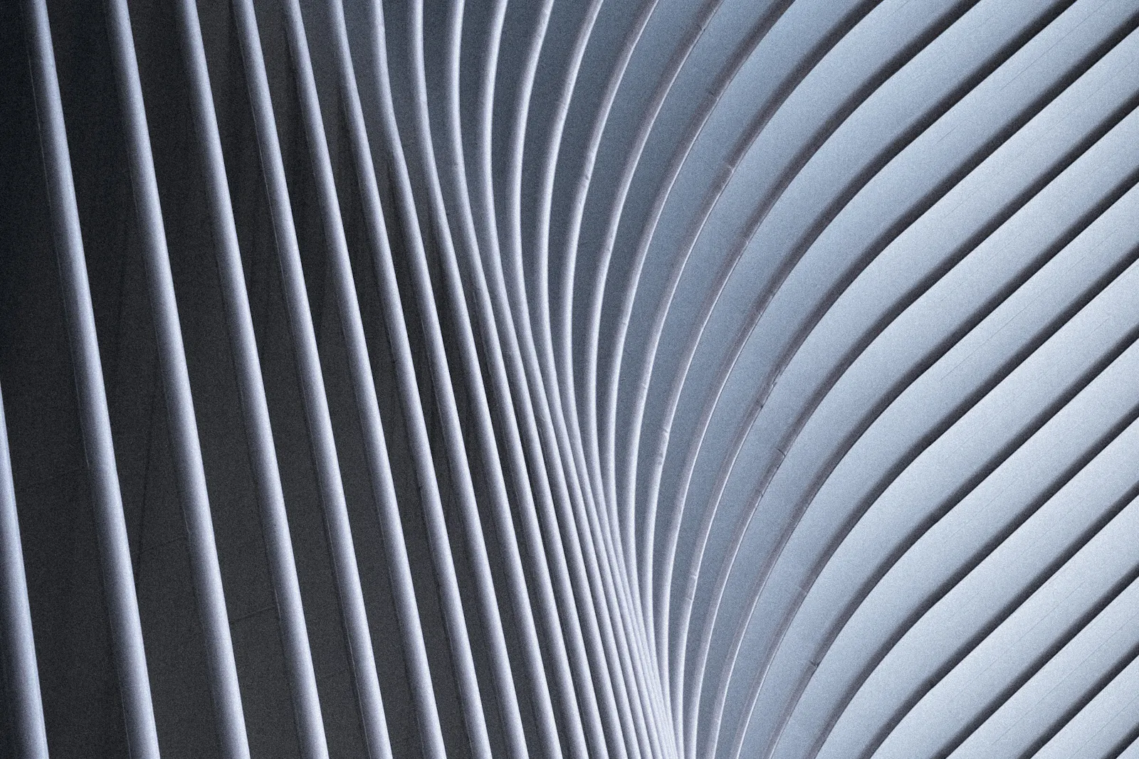 Curved white ribs with alternating bands of light and shadow.
