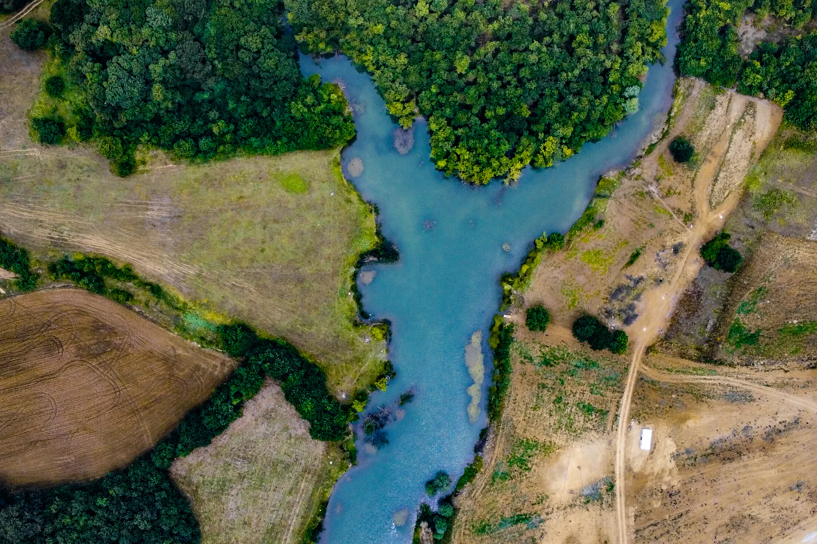 A river dividing into channels beside fields and woodland.