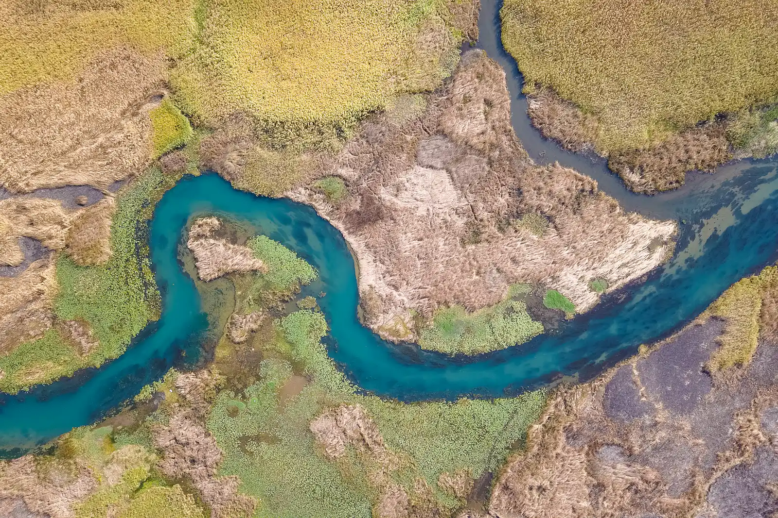 An aerial view of a turquoise river winding through golden grass.