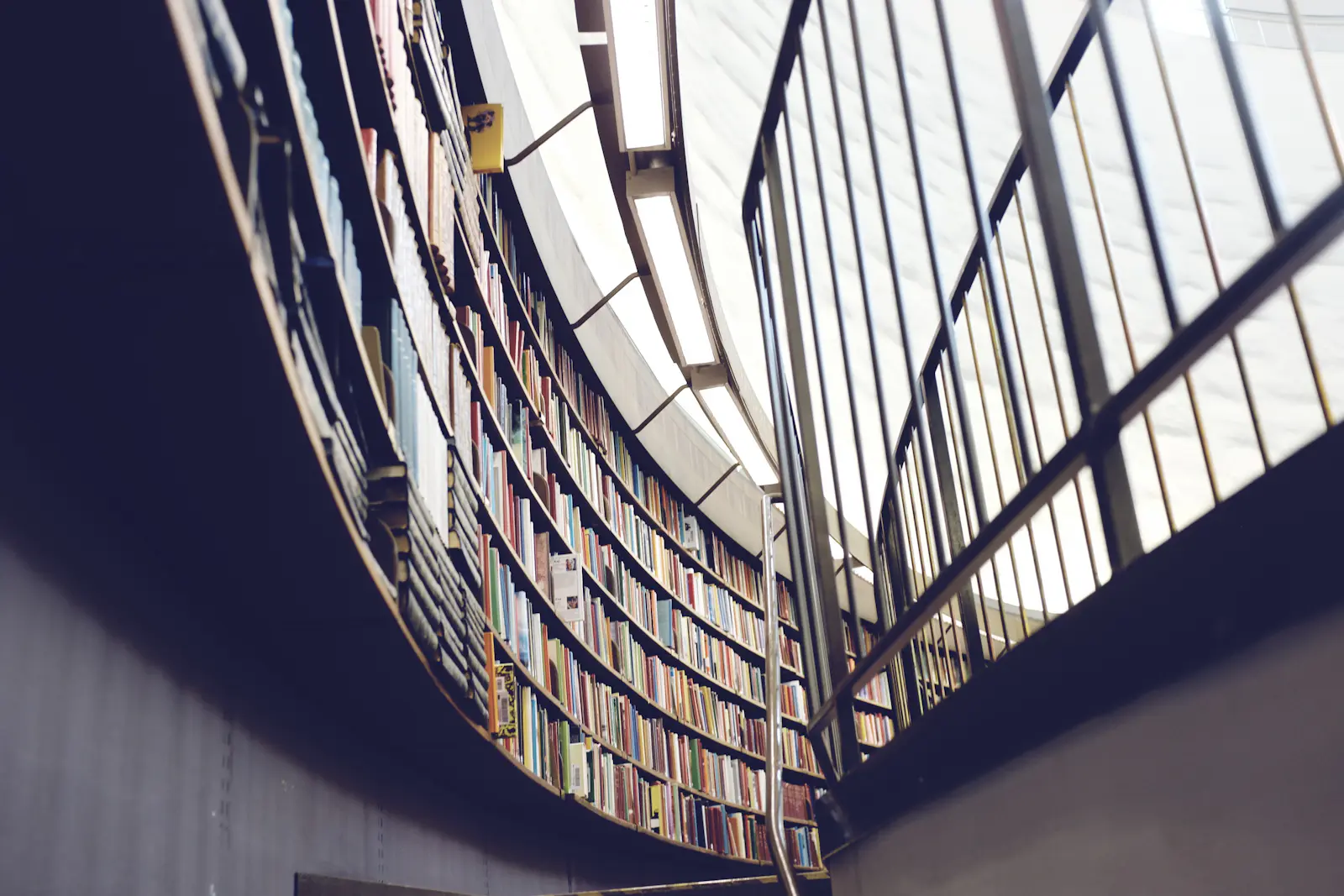 A curved library wall lined with books.